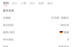 开云下载-皇马逆袭拜仁慕尼黑，取得胜利