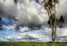 开云下载-关于DRX绝杀FNC，Hylissang关键制胜的信息