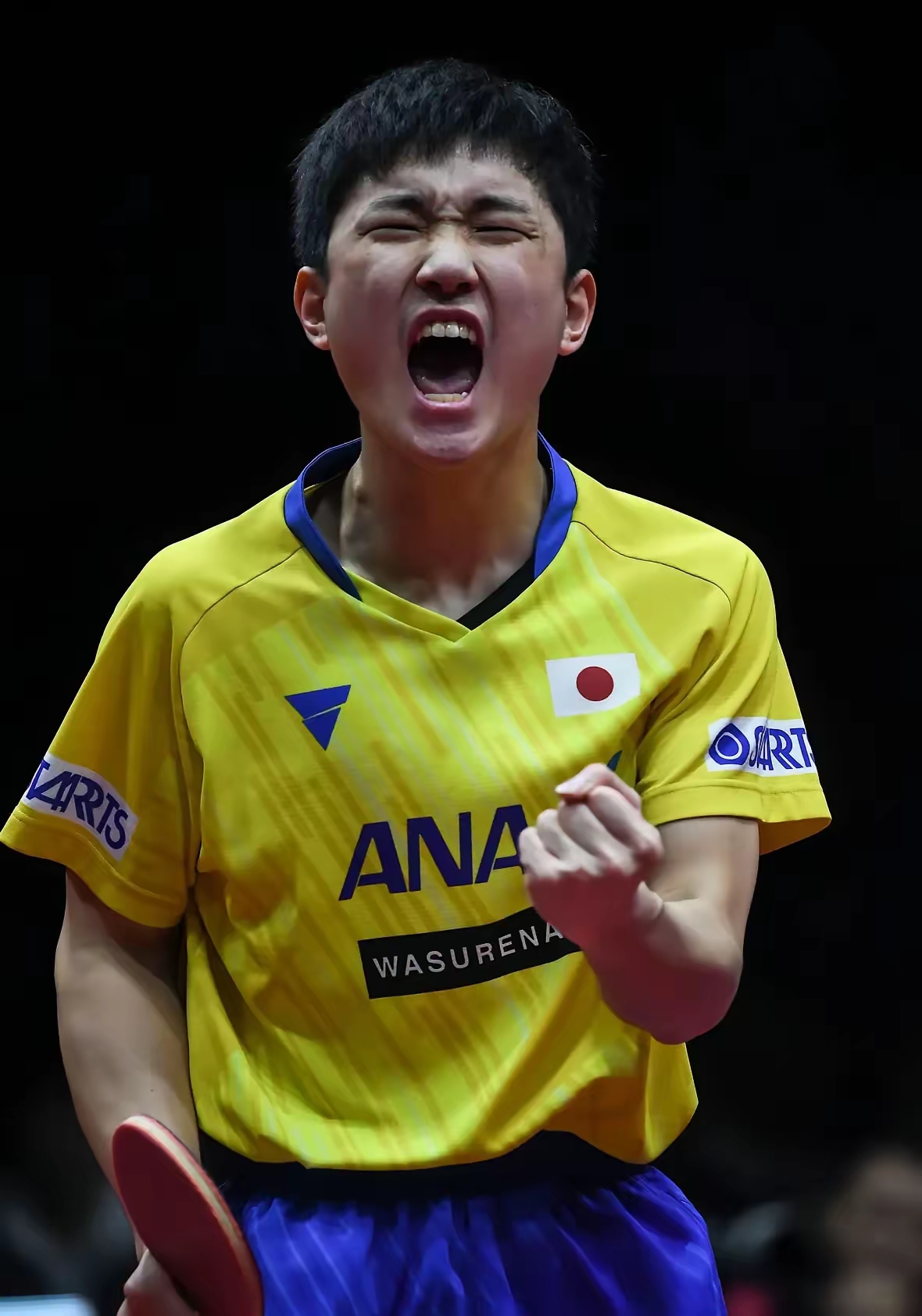 关于德国乒乓球队碾压英国乒乓球队，张本智和打破历史纪录的信息