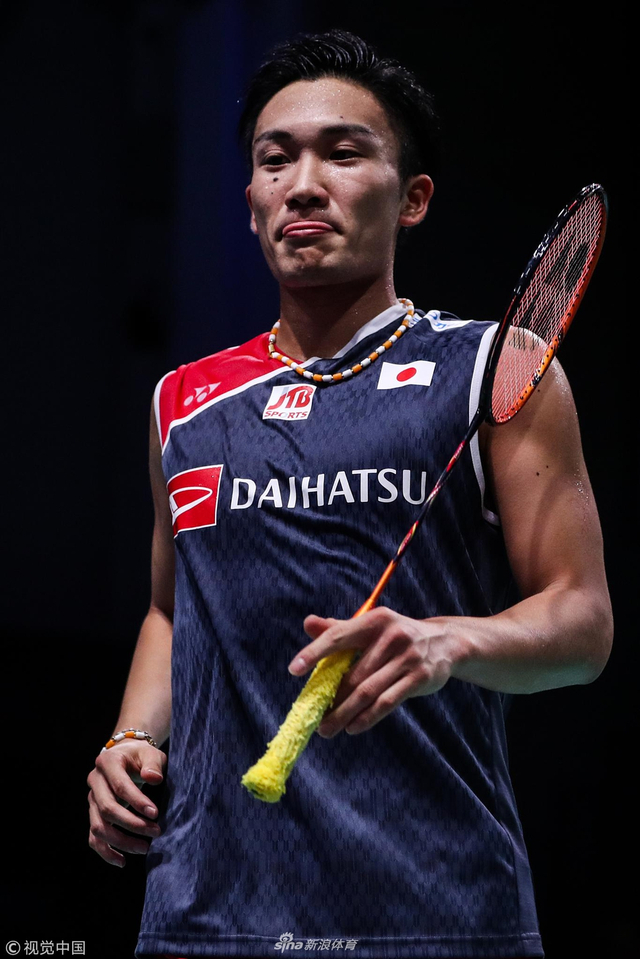 法国队绝杀丹麦队，桃田贤斗点燃赛场的简单介绍