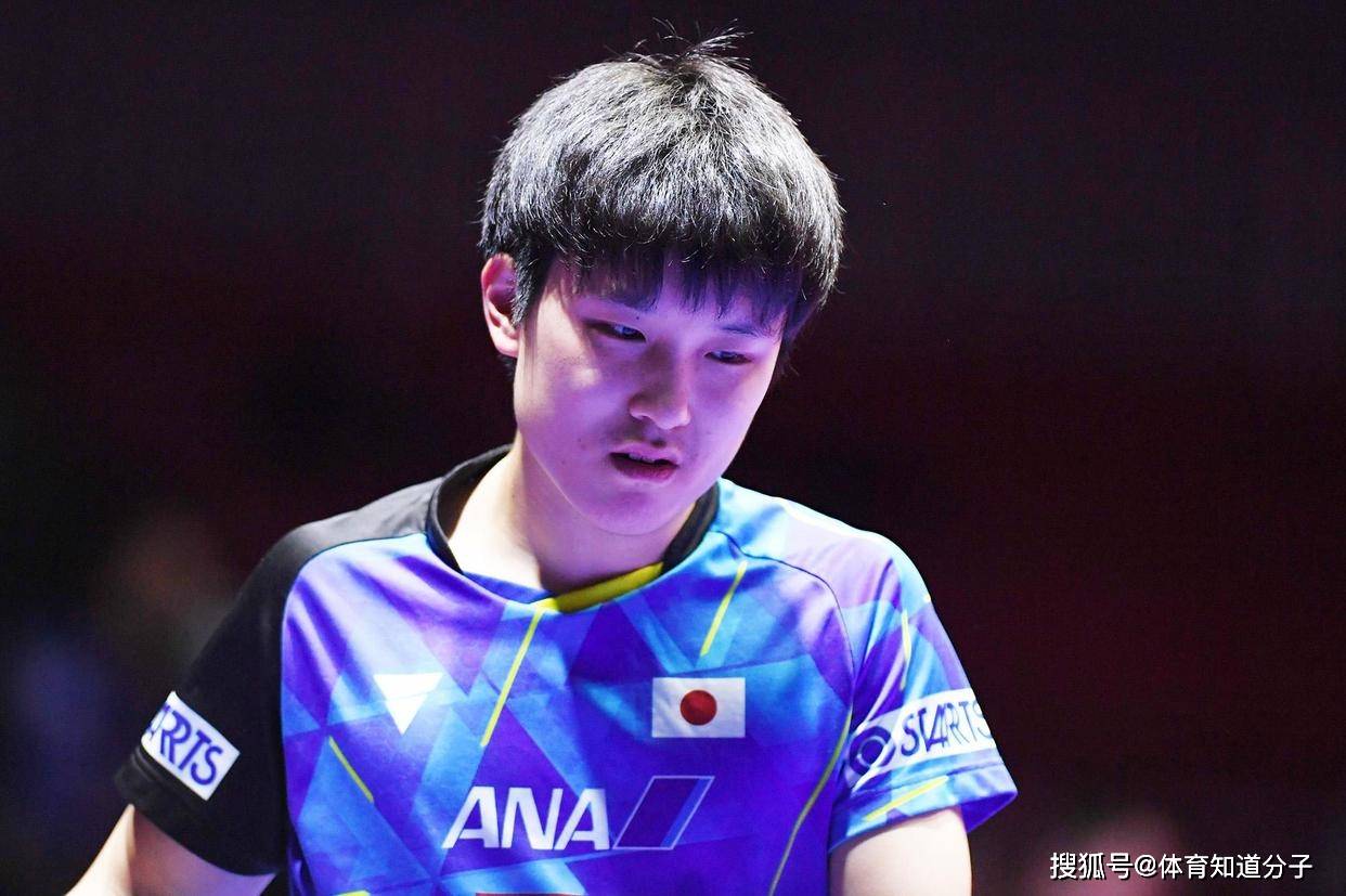 中国队横扫韩国队,张本智和惊艳四座的简单介绍 中国队横扫韩国队,张本智和惊艳四座的简单介绍