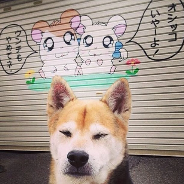 加纳生死战取胜利物浦，莱万带队取胜，当国家队精神照亮俱乐部战场